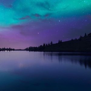 Meet your Posher, Bella